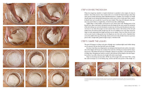 Image of Flour Water Salt Yeast: the Fundamentals of Artisan Bread and Pizza [A Cookbook]