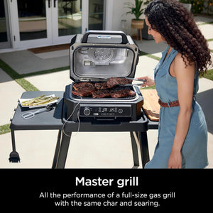 OG850 Woodfire Pro XL Outdoor Grill & Smoker with Built-In Thermometer, 4-In-1 Master Grill, BBQ Smoker, Outdoor Air Fryer, Bake, Portable, Electric, Blue
