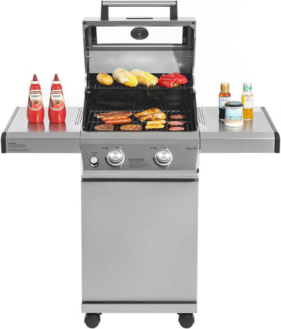 Image of 14633 2-Burner Stainless Steel Liquid Propane Gas Grill with Clear View Lid, LED Controls Mesa 200